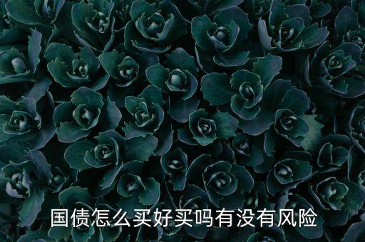 工行和北京銀行的國債一樣嗎