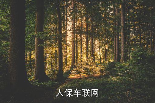 中國(guó)人保車聯(lián)網(wǎng)