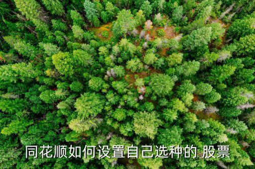 同花順如何設(shè)置自己選種的 股票