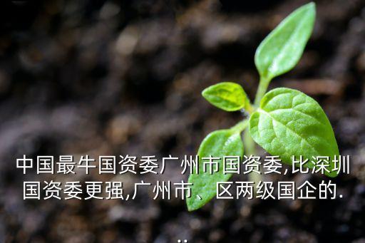 中國(guó)最牛國(guó)資委廣州市國(guó)資委,比深圳國(guó)資委更強(qiáng),廣州市、區(qū)兩級(jí)國(guó)企的...