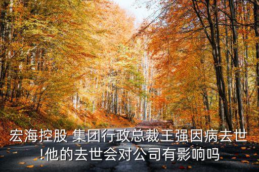 宏?？毓?集團(tuán)行政總裁王強因病去世!他的去世會對公司有影響嗎