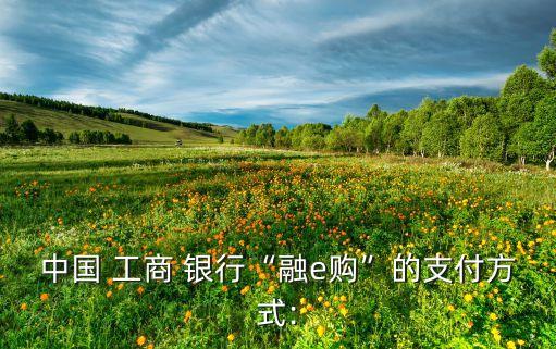 中國(guó) 工商 銀行“融e購(gòu)”的支付方式: