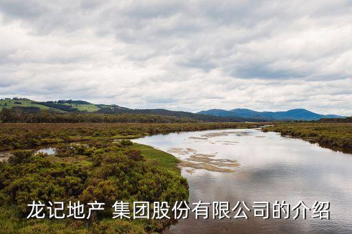  龍記地產(chǎn) 集團(tuán)股份有限公司的介紹