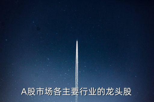 A股市場各主要行業(yè)的龍頭股