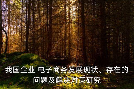 我國(guó)企業(yè) 電子商務(wù)發(fā)展現(xiàn)狀、存在的問(wèn)題及解決對(duì)策研究