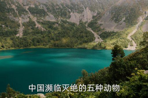 中國瀕臨滅絕的五種動(dòng)物