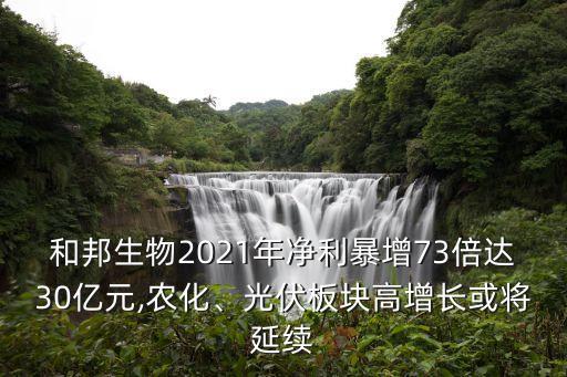 和邦生物2021年凈利暴增73倍達(dá)30億元,農(nóng)化、光伏板塊高增長或?qū)⒀永m(xù)