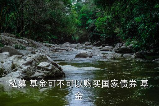 私募 基金可不可以購(gòu)買(mǎi)國(guó)家債券 基金