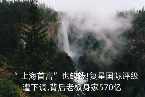 “ 上海首富”也缺錢!復星國際評級遭下調(diào),背后老板身家570億