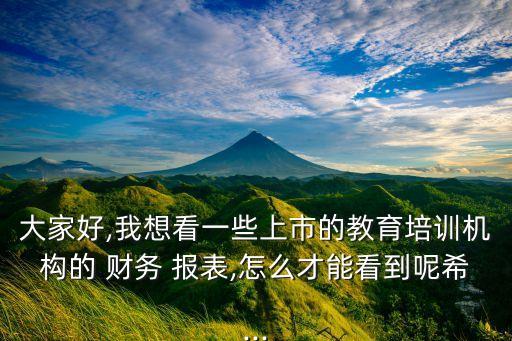 新東方集團財務報表