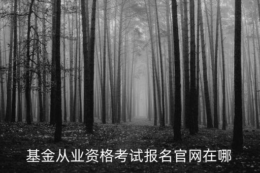 基金從業(yè)資格考試報(bào)名官網(wǎng)在哪