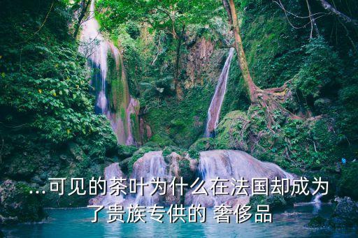 中國(guó)人在海外什么國(guó)家購(gòu)買(mǎi)奢侈品
