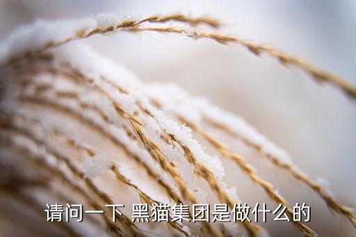 請問一下 黑貓集團(tuán)是做什么的