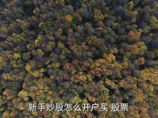 新手炒股怎么開(kāi)戶買(mǎi) 股票