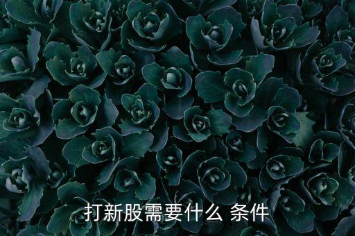 創(chuàng)業(yè)板股票申購條件
