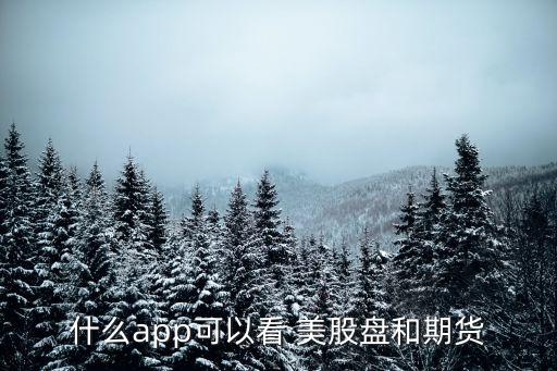 和中國一樣美股交易軟件,美股交易軟件哪個(gè)好