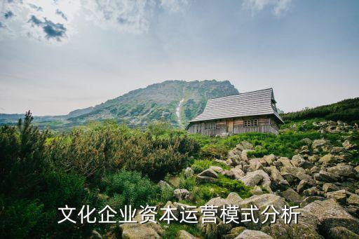 文化企業(yè)資本運營模式分析
