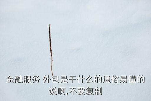 金融服務(wù) 外包是干什么的通俗易懂的說(shuō)啊,不要復(fù)制