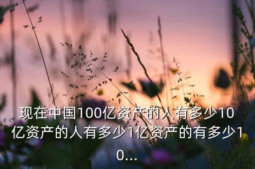 現在中國100億資產的人有多少10億資產的人有多少1億資產的有多少10...