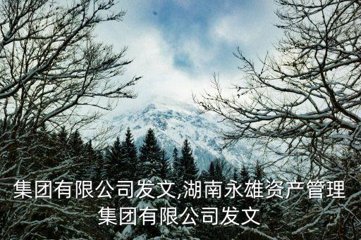 匯源集團有限公司發(fā)文,湖南永雄資產管理集團有限公司發(fā)文