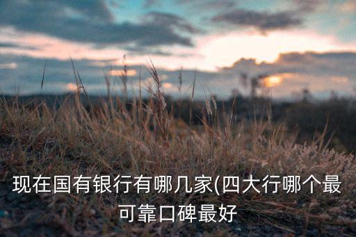 現(xiàn)在國有銀行有哪幾家(四大行哪個(gè)最可靠口碑最好
