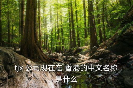 tjx 公司現在在 香港的中文名稱是什么
