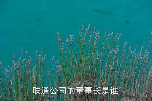 聯(lián)通公司的董事長(zhǎng)是誰