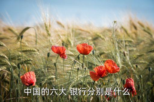 中國境內(nèi)的銀行