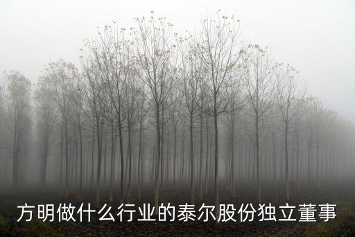 方明做什么行業(yè)的泰爾股份獨立董事