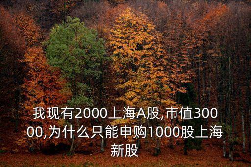 我現(xiàn)有2000上海A股,市值30000,為什么只能申購1000股上海新股