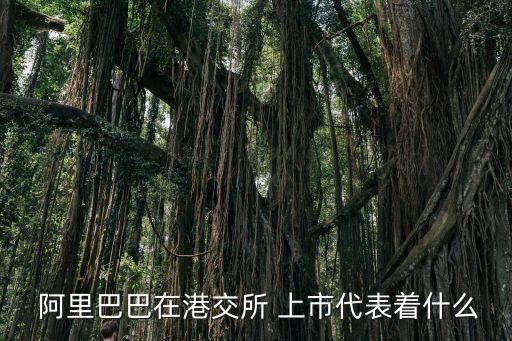  阿里巴巴在港交所 上市代表著什么