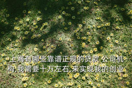 上海有哪些靠譜正規(guī)的貸款 公司機構,我需要十萬左右,來實現(xiàn)我的創(chuàng)業(yè)...