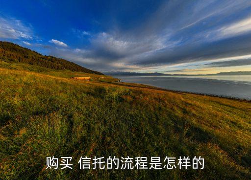 購買 信托的流程是怎樣的
