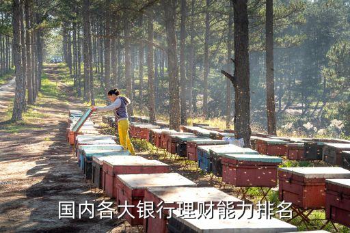 國內(nèi)各大銀行理財能力排名