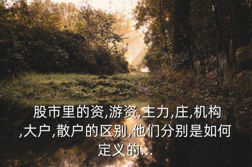  股市里的資,游資,主力,莊,機構(gòu),大戶,散戶的區(qū)別,他們分別是如何定義的...