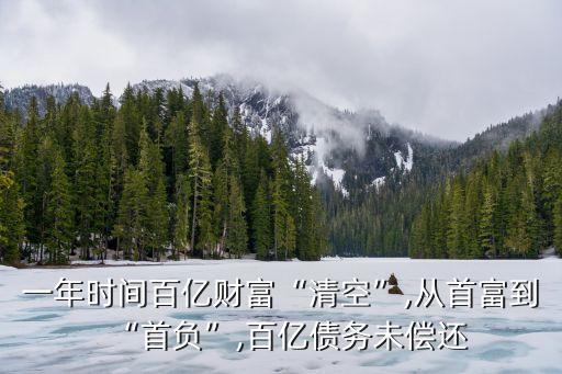 一年時間百億財富“清空”,從首富到“首負”,百億債務(wù)未償還