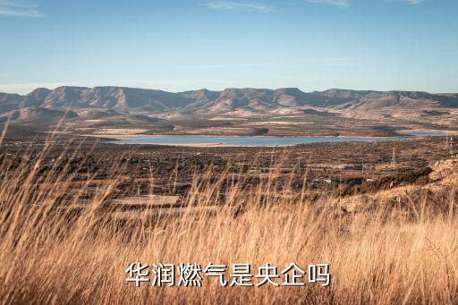 華潤(rùn)燃?xì)馐茄肫髥? class=