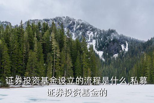 證券投資基金設立的流程是什么,私募證券投資基金的