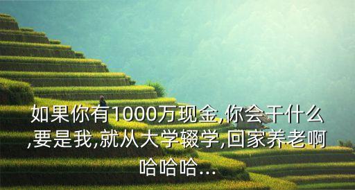 如果你有1000萬(wàn)現(xiàn)金,你會(huì)干什么,要是我,就從大學(xué)輟學(xué),回家養(yǎng)老啊哈哈哈...