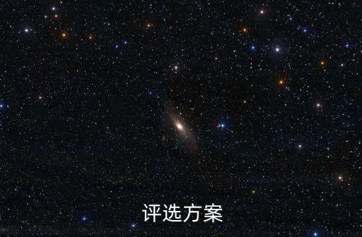  評選方案