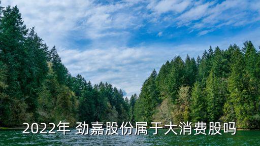 2022年 勁嘉股份屬于大消費(fèi)股嗎