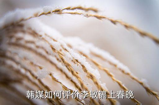  韓媒如何評(píng)價(jià)李敏鎬上春晚