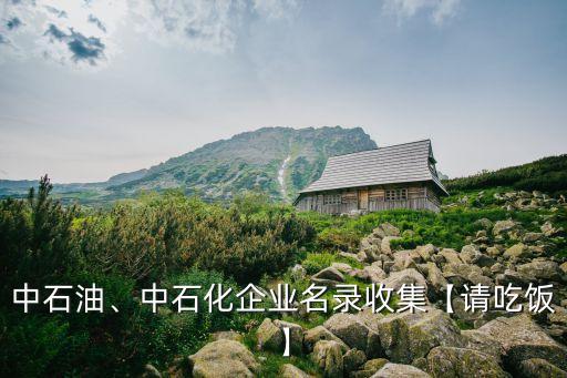 中石油、中石化企業(yè)名錄收集【請吃飯】