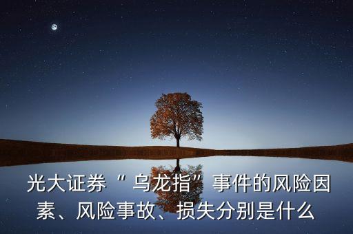  光大證券“ 烏龍指”事件的風(fēng)險(xiǎn)因素、風(fēng)險(xiǎn)事故、損失分別是什么