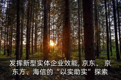 發(fā)揮新型實(shí)體企業(yè)效能, 京東、 京東方、海信的“以實(shí)助實(shí)”探索