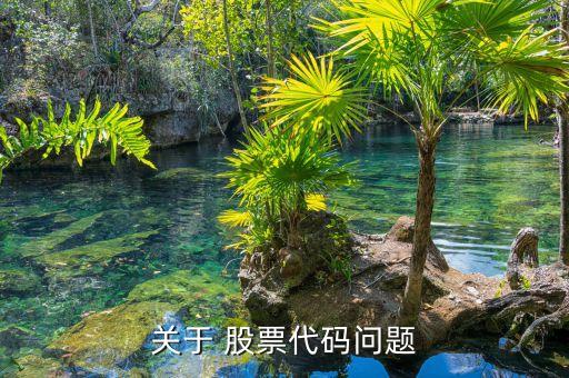 關(guān)于 股票代碼問題