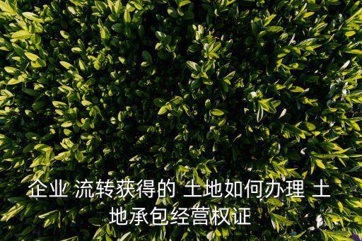 企業(yè) 流轉獲得的 土地如何辦理 土地承包經營權證