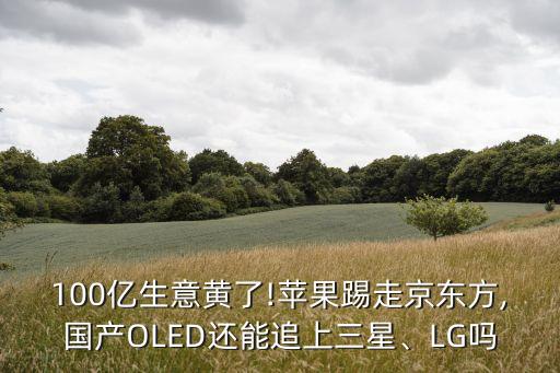 100億生意黃了!蘋果踢走京東方,國產(chǎn)OLED還能追上三星、LG嗎