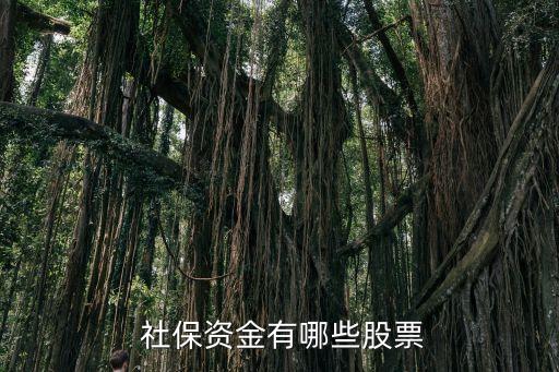 全國社?；鸾M合