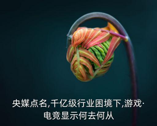 央媒點(diǎn)名,千億級(jí)行業(yè)困境下,游戲·電競(jìng)顯示何去何從